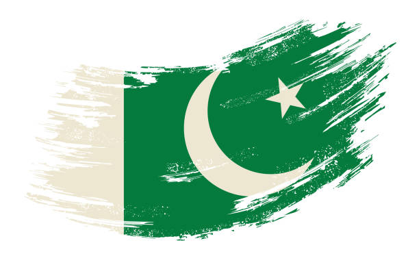 Pakistani flag grunge brush background. Vector illustration. Pakistani flag brush stroke grunge background. Vector illustration. pakistan flag stock illustrations