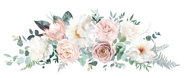 Pale pink camellia, dusty rose, ivory white peony, blush protea, nude pink ranunculus, eucalyptus vector design bouquet. Wedding neutral sage and beige flowers. All elements are isolated and editable