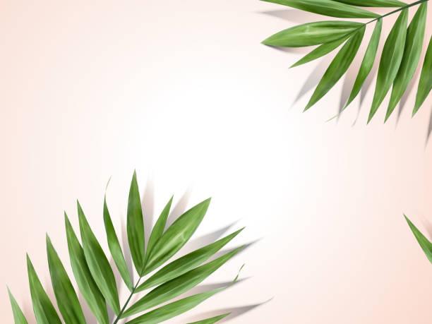 ilustrações de stock, clip art, desenhos animados e ícones de palm leaves background - palmeiras
