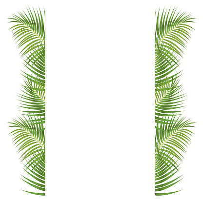 Palm Leaves Border