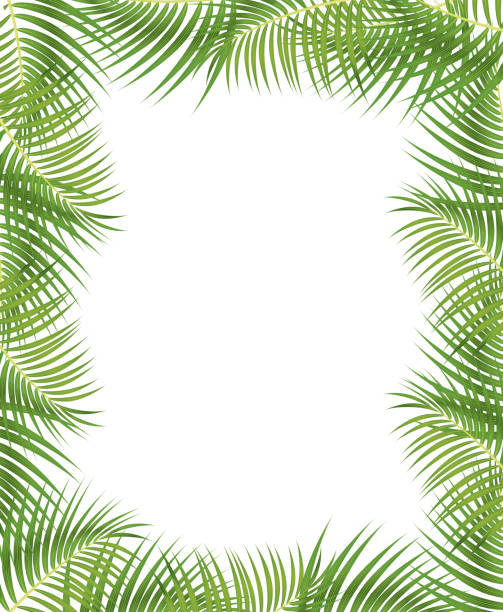 Printable Palm Leaf Clip Art Free Palm Branch Cliparts, Download Free