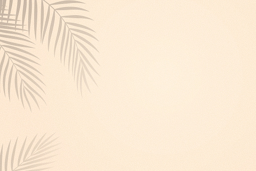 Palm leaves shadows on sand textured background