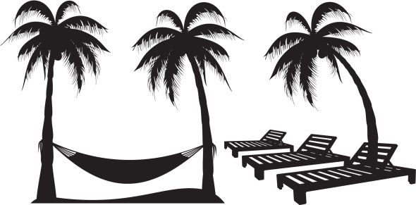 Palm Tree Design Elements