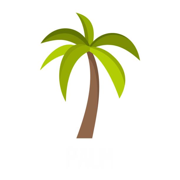ilustraciones, imágenes clip art, dibujos animados e iconos de stock de icono de árbol de palma, estilo plano - palm trees