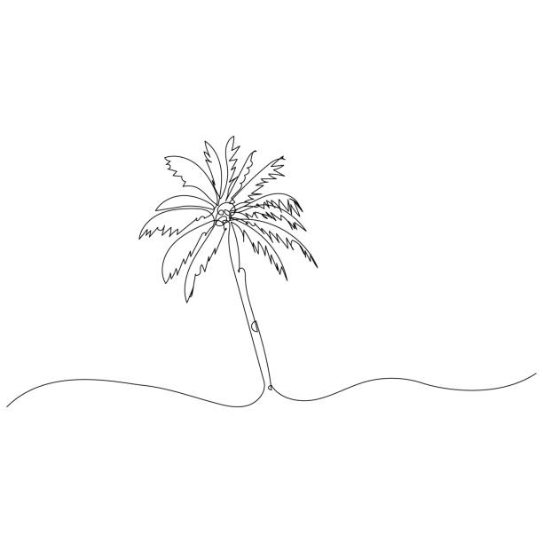 bildbanksillustrationer, clip art samt tecknat material och ikoner med palm en linje ritning. sommartid koncept. minimalistisk konst. - badstrand sommar sverige