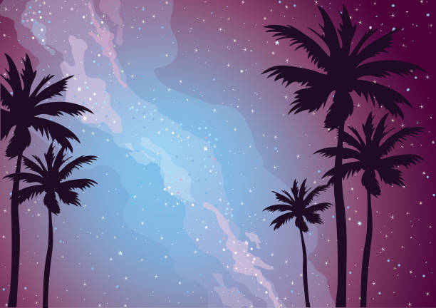 ilustrações de stock, clip art, desenhos animados e ícones de palm tree, star, milky way, night sky. - milky way