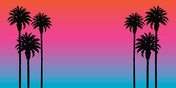 Palm Tree Sunset Background Vector illustration of a rich colorful sunset background,with palm tree silhouettes on either side. beach silhouettes stock illustrations