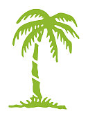 istock Palm Tree 1003599602