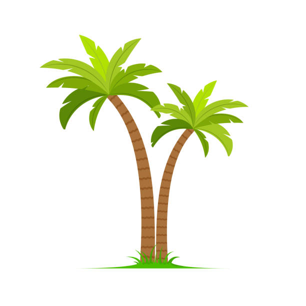 Palm tree vector island coconut cartoon icon. Palmtree island desert isolated tropical icon Palm tree vector island coconut cartoon icon. Palmtree island desert isolated tropical icon. desert area clipart stock illustrations