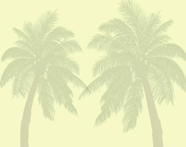 bildbanksillustrationer, clip art samt tecknat material och ikoner med palmer bakgrund låg opacitet. - badstrand sommar sverige