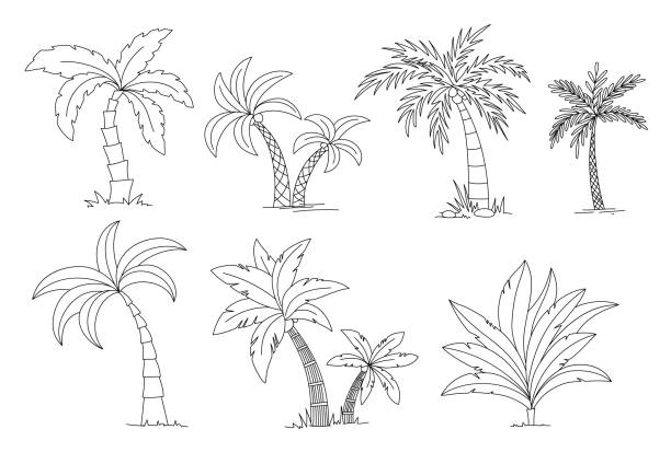 762 Beach Coloring Pages Illustrations Clip Art Istock