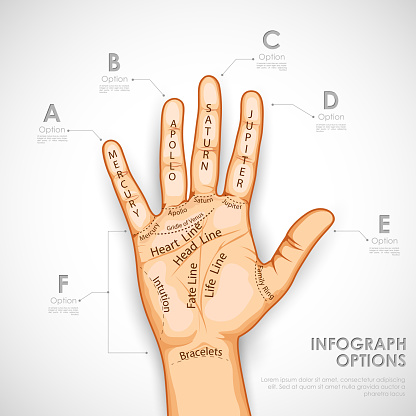 Palmistry Infographics