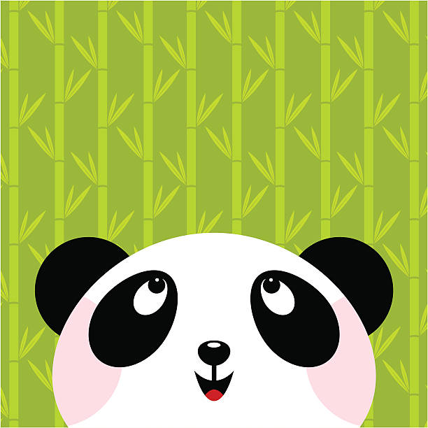 illustrations, cliparts, dessins animés et icônes de panda - panda