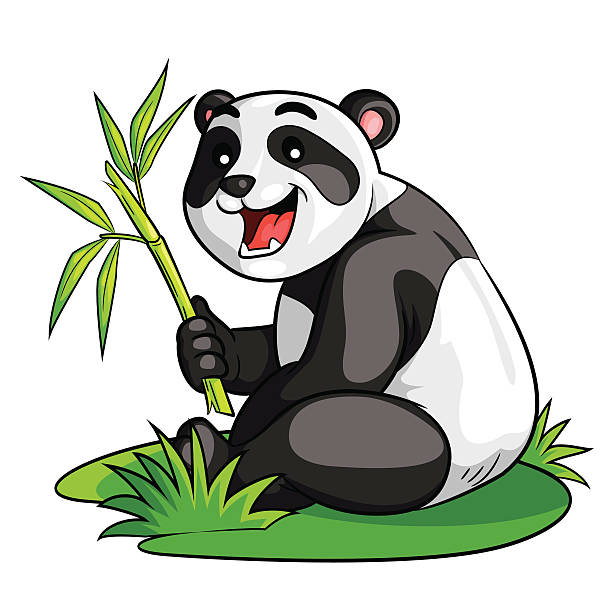 Best Panda Eating Bamboo Illustrations, Royalty-Free Vector Graphics ...