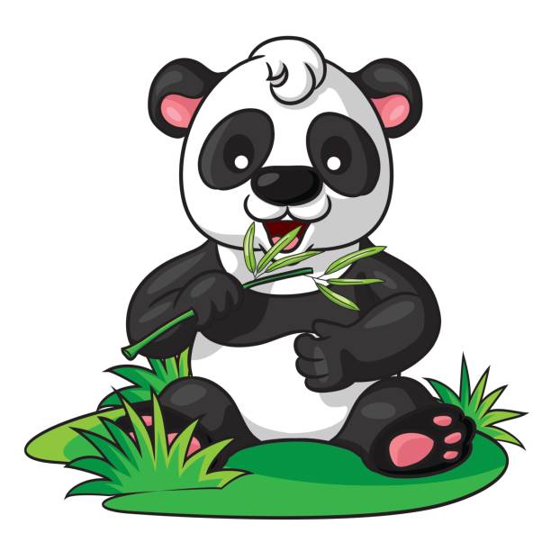 Best Panda Eating Bamboo Illustrations, Royalty-Free Vector Graphics ...