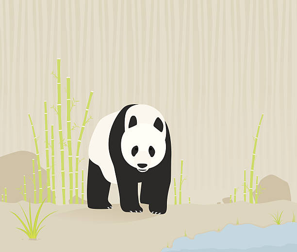 illustrations, cliparts, dessins animés et icônes de panda dans la nature - panda