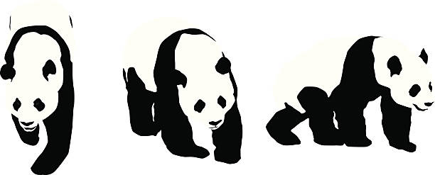illustrations, cliparts, dessins animés et icônes de panda silhouettes des - panda