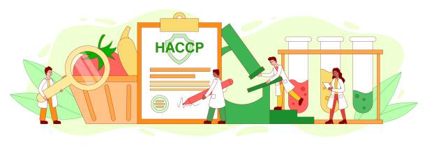 ilustrações de stock, clip art, desenhos animados e ícones de panorama banner for haccp hazard analysis - haccp