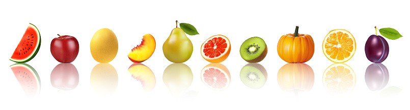 Panorama of fresh fruits and vegetables in row with reflection. Watermelon, coconut, honey melon, peach, pear, grapefruit, kiwi, pumpkin, orange, plum. Vector.