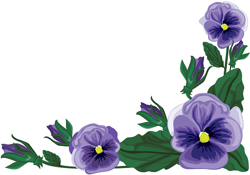 Pansy Floral Element, Purple