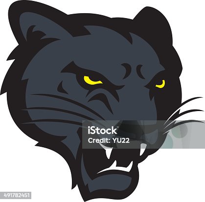 istock Panther Head 491782451