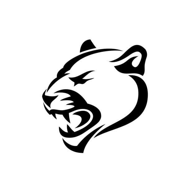 bildbanksillustrationer, clip art samt tecknat material och ikoner med panther-symbol-vektor illustration - leopard