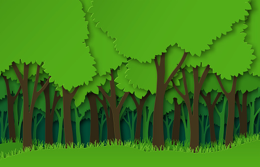 Paper forest. Green paper cut trees silhouettes, natural layered landscape. 3d origami ecosystem abstract vector concept