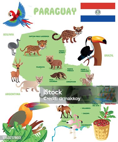 istock Paraguay Map and  Animals 1353217803