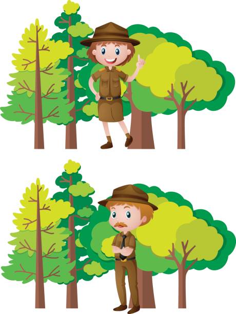 парк рейнджеров и лесной фон - rangers stock illustrations