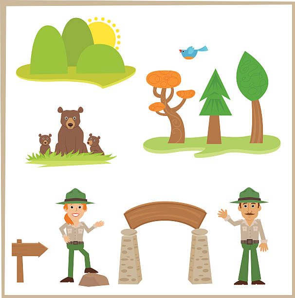park rangers - rangers stock illustrations