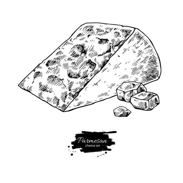 Parmesan cheese  drawing. Vector hand drawn food sketch. Engraved Parmesan cheese  drawing. Vector hand drawn food sketch. Engraved triangle slice and cube cut. Farm market product for label, poster, icon, packaging. Dairy vintage product parmesan cheese illustrations stock illustrations