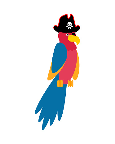 Parrot pirate isolated cartoon. Talking bird for pirate. vector illustration