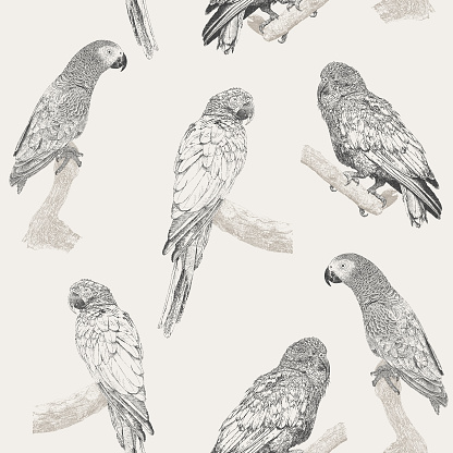 Parrot Seamless Repeat Pattern