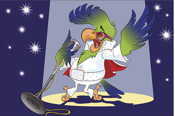 papuga superstar - elvis presley stock illustrations