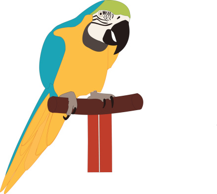 Parrot (Macaw) (Vector)