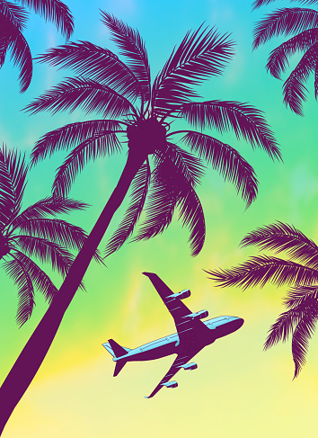 Passenger Airplane Over Palm Trees with Beautiful Blue Green Yellow Sunset