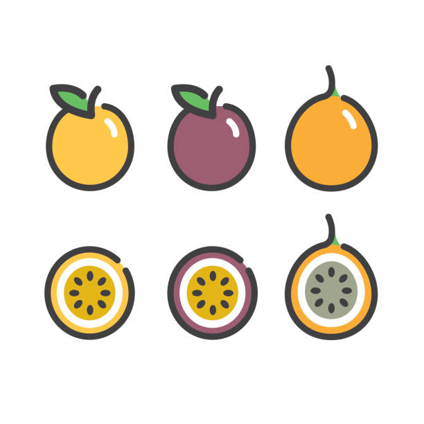 ilustrações de stock, clip art, desenhos animados e ícones de passion fruit and granadilla line icons - granadilla