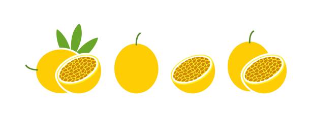 ilustrações de stock, clip art, desenhos animados e ícones de passion fruit logo. isolated passion fruit on white background - granadilla