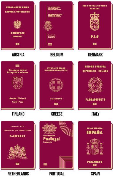 stockillustraties, clipart, cartoons en iconen met paspoort vector icon - zomer nederland