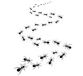 istock A path of ants running away into the distance, from larger to smaller. Vector illustration in flat cartoon style 1359390394