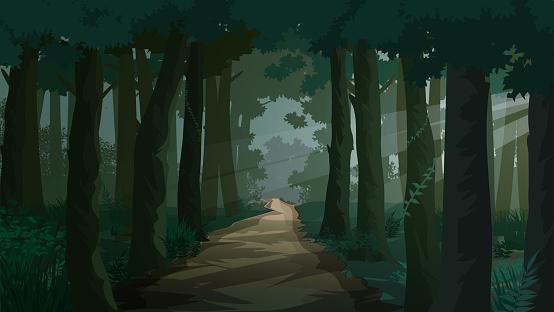 pathway through dark forest shadow