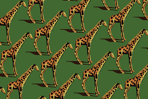 Pattern of giraffes