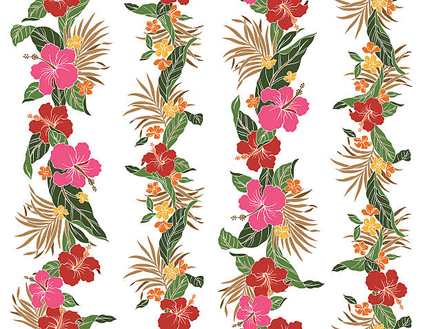 Drawing Of A Hawaiian Flower Border Illustrations Royalty Drawing Of A Hawaiian Flower Border Illustrations Royalty