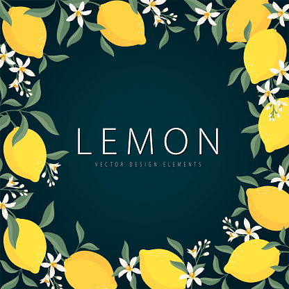 Pattern of Lemon fruit background template. Vector set of lemon element for advertising, packaging design of lemon tea products and fashion design.