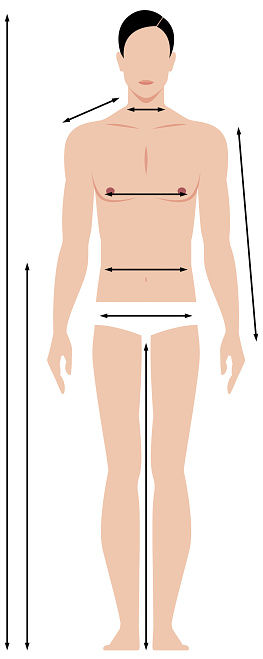 Body Measurements Template from media.istockphoto.com