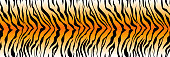 Pattern striped tiger or zebra skin print background, long banner animal fur, hair skin texture, seamless