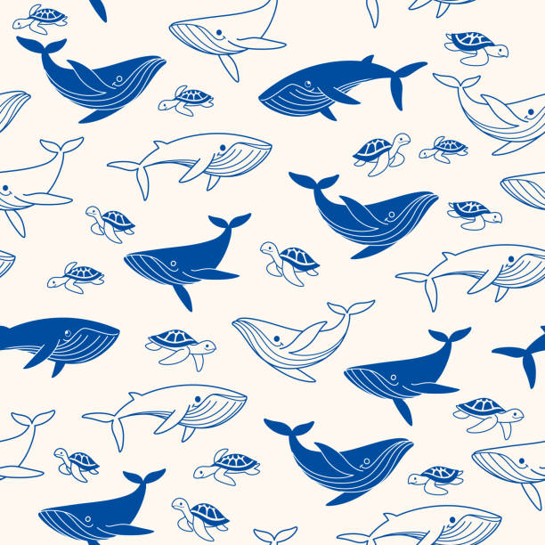 bildbanksillustrationer, clip art samt tecknat material och ikoner med mönster - blue whale