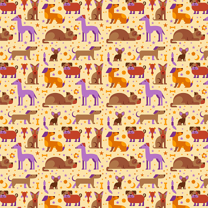 Pattern with different breeds of dogs and dog toys and stars
