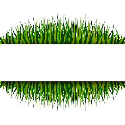 Pattern with grass frame. Vector illustration design. Nature background vector. Stock image. EPS 10.