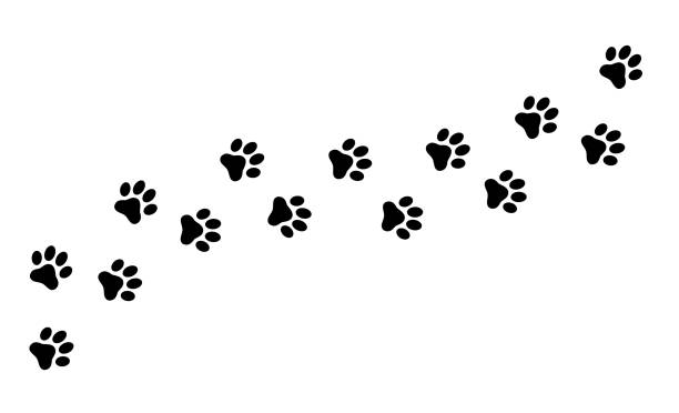 paw print kot, pies, szczeniak ślad. płaski styl - wektor czasowy. - dogs stock illustrations